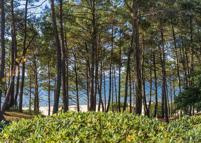 Pereire - Superbe A 50 Metres De La * Arcachon